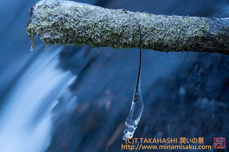 ../Images/7R251129 (121).jpg